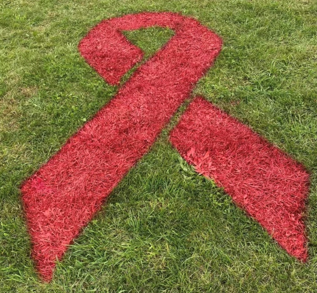 Carbondale Area Hosts Red Card Cancer Soccer Game