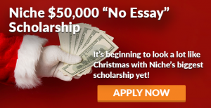 Attention Seniors: Niche Scholarship Opportunity